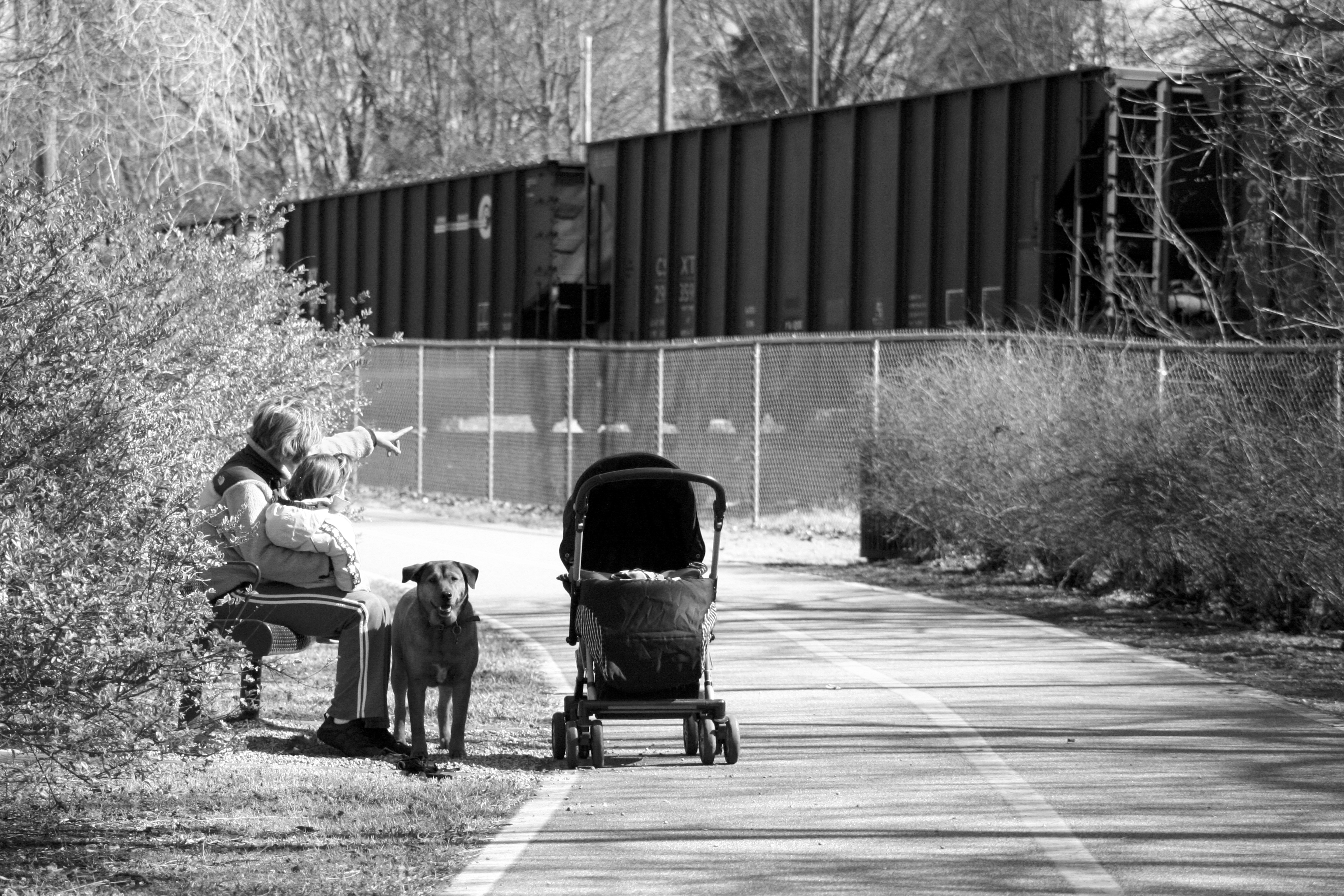 Man points to a trains from a bench